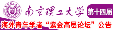 操烂小骚逼到处流水视频南京理工大学第十四届海外青年学者紫金论坛诚邀海内外英才！